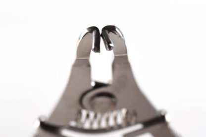 TwinRing Forceps (C12) - Image 2
