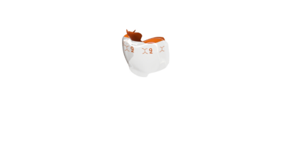 Bioclear Evolve Posterior Matrix Series - Image 35